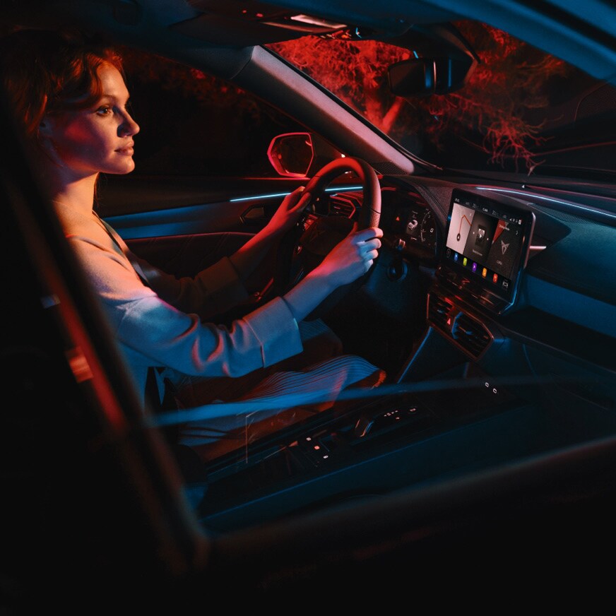 online infotainment voice assistant