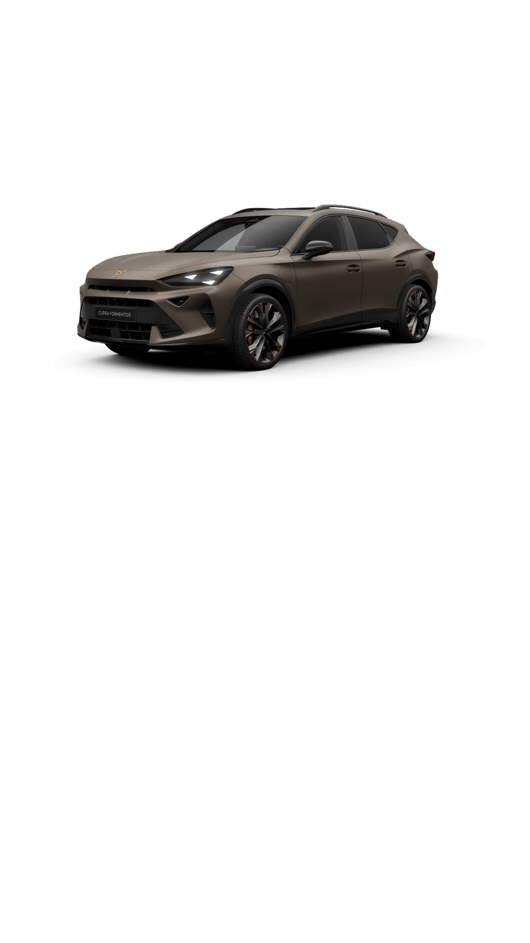 Century Bronze Matt- 19” Artic Copper